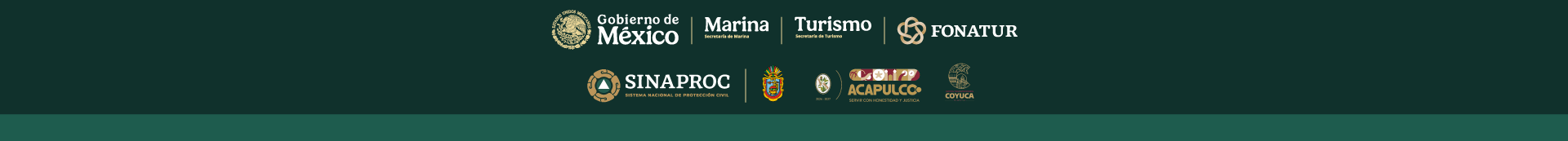 Footer Institucional